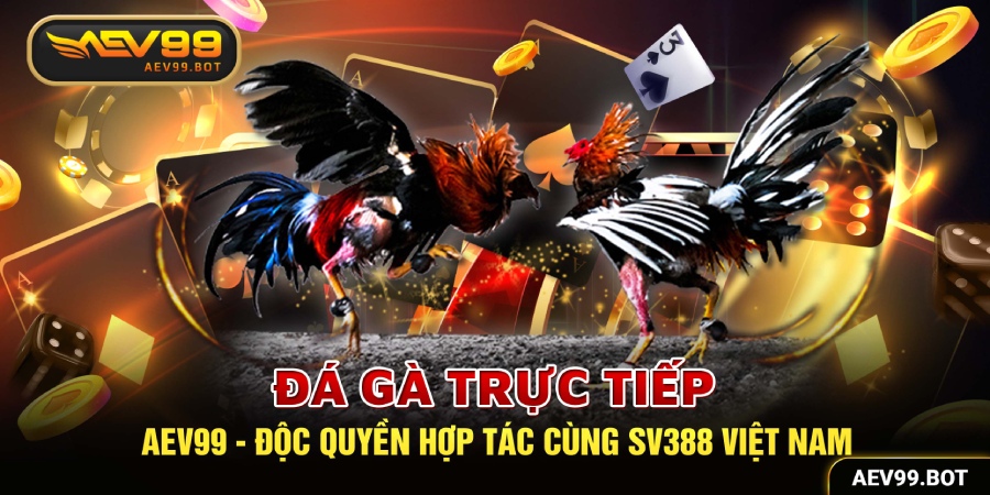 Đá gà trực tuyến đỉnh cao