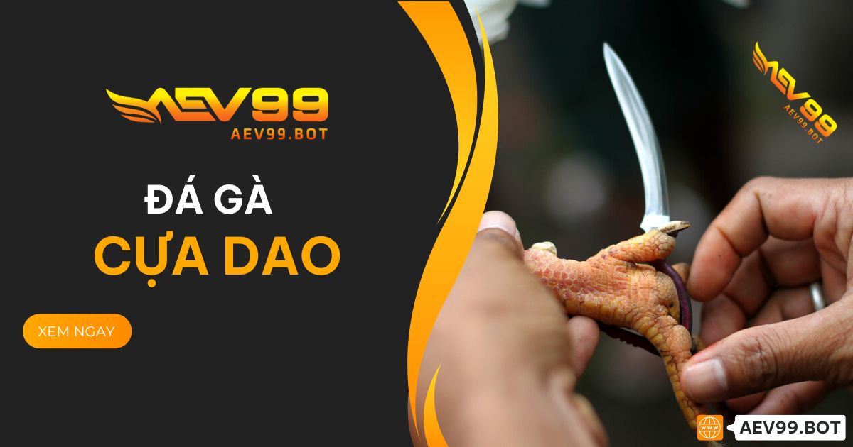 Đá gà cựa dao AEV99 