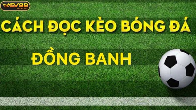 Hướng dẫn phân định thắng thua kèo đồng banh đúng cách 